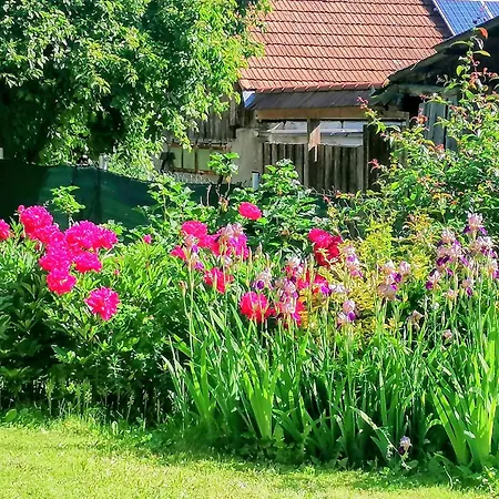 Vakantiehuis Klein Und Fein